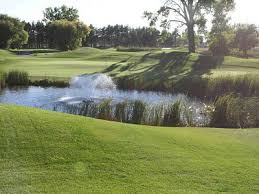 green space surrounding a small pond with a fountain in the middle