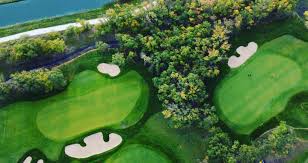 an aerial image of a lush golf course